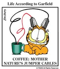 GarfieldCoffee 106