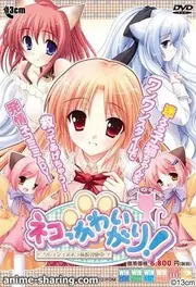 Neko Kawaigari Cover