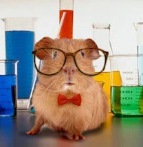 "Professor?  "