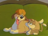 Female Feline, Male Mutt