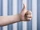 Four-Fingered Hands