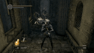 Dark Souls Ragdoll Physics.gif