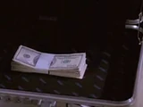 Briefcase Full of Money
