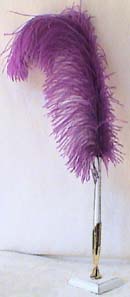 Quill-purple-sm2 2071