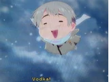 Vodka Drunkenski