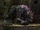 Dungeons and Dragons Online