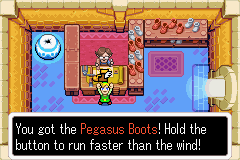 PegasusBoots 7679