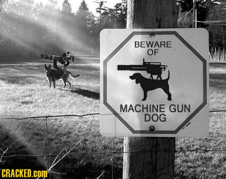 Machinegundog 6460