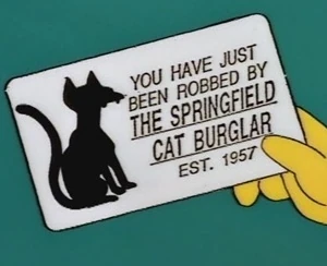 Springfield cat burglar 9585