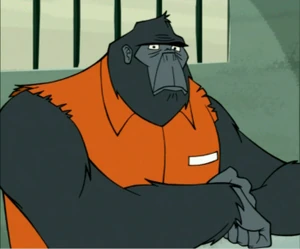 King gorilla 1812