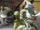 Over the Hedge (animation)