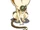 Momo02.jpg