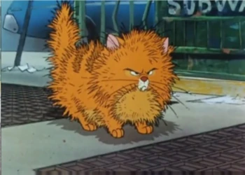 FluffyDryCatOliver 5933