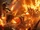 Lava Adds Awesome