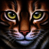 00015-warrior-cat 7383.png