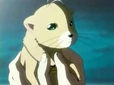 Weasel Mascot