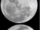 Moon Rabbit