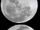 Moon Rabbit
