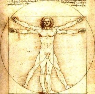 Vitruvian man 5456