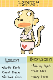 Monkey