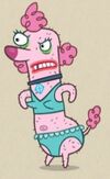 Poodle