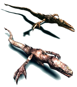 Phocomelus