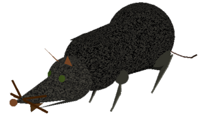 Modellotopaccio.png