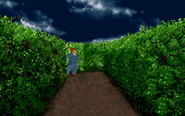 The right hand path from the second fork
