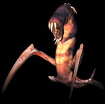 Night Ripper