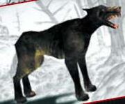 Dogs of darkness