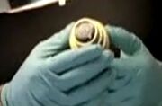Movie 1 artefact.jpg
