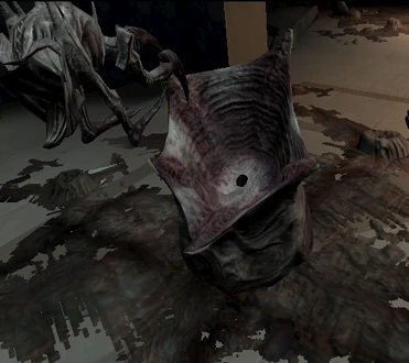 Nido di Ratz in parto