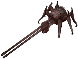 Arachnocyd.png