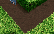 path to the single card hatch