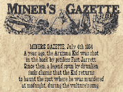 Miner's gazette detail