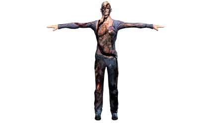 Modello Humanz Tipo II