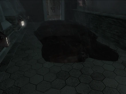 Il liquido oscuro nelle versioni PS2 e Wii