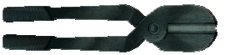 Tronchesi.png