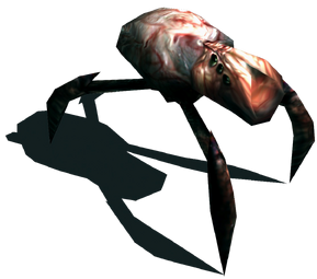 Arachnocide.png