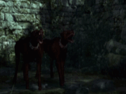 Dogs of Darkness animation