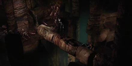 Obedshaw protegge Aline