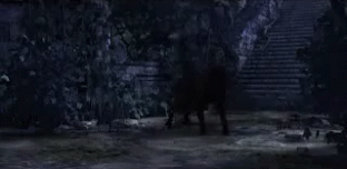 Ophtalmicidgif.gif