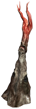 Radice.png