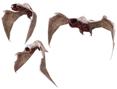Vamprzps2.png