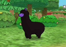 a world with alpacas