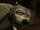 Winston/Gallery