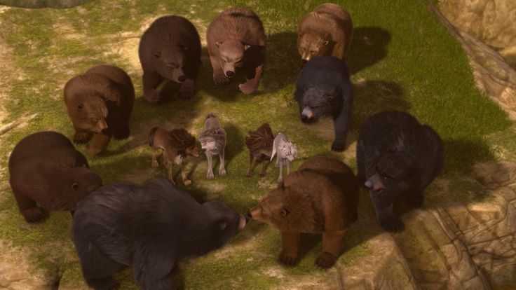 The True Story Of Bear Alpha 