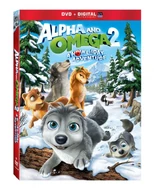 DVD Cover