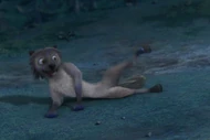 Shakey laying down