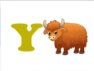 Y is for Yak